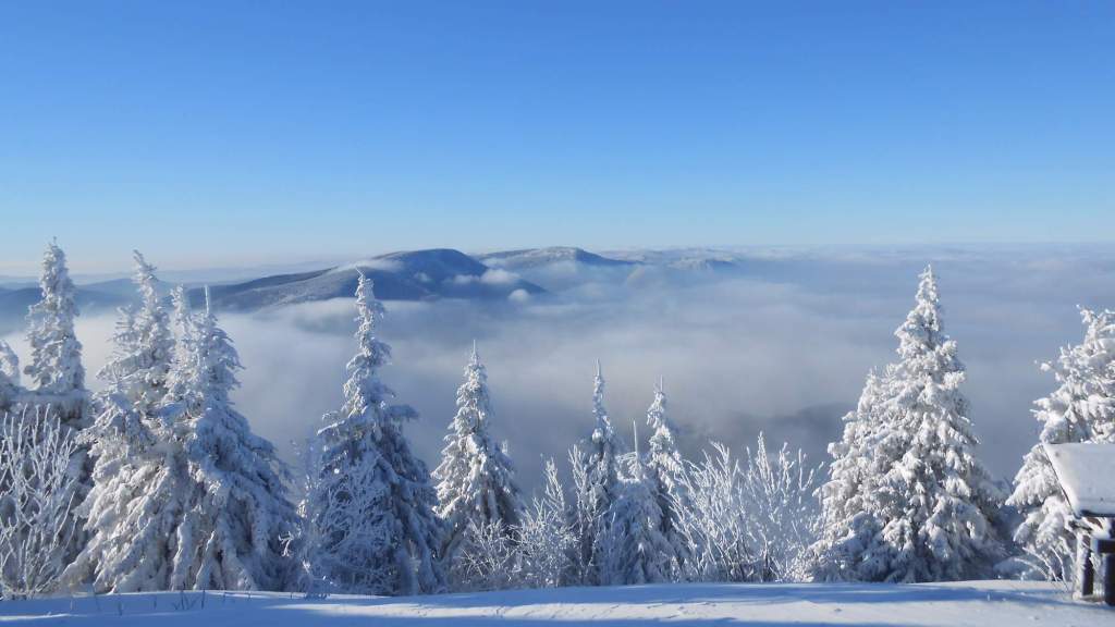 Bright snowy day in the hills