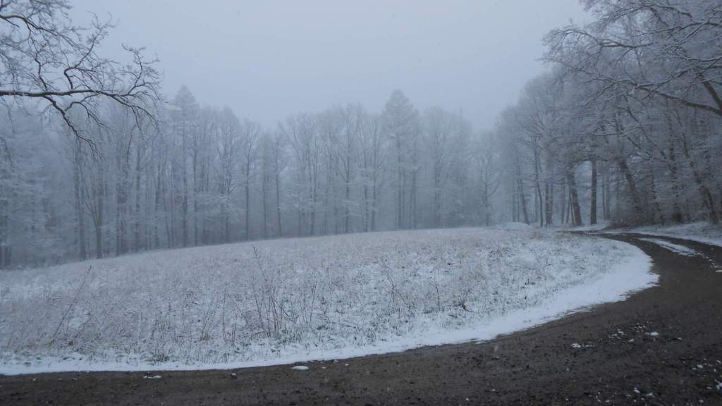 Snow-sprinkled landscape.